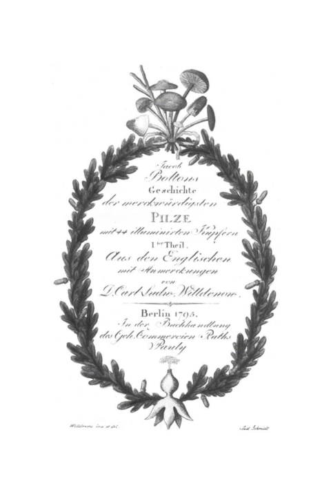 Cover image for book Jacob Bolton: Geschichte der merckwürdigsten Pilze. Teil 1