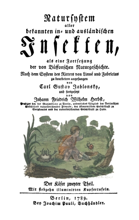 Cover image for book Der Käfer, Teil 2