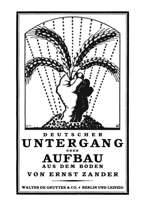 Cover image for book Deutsche Untergang oder Aufbau aus dem Boden