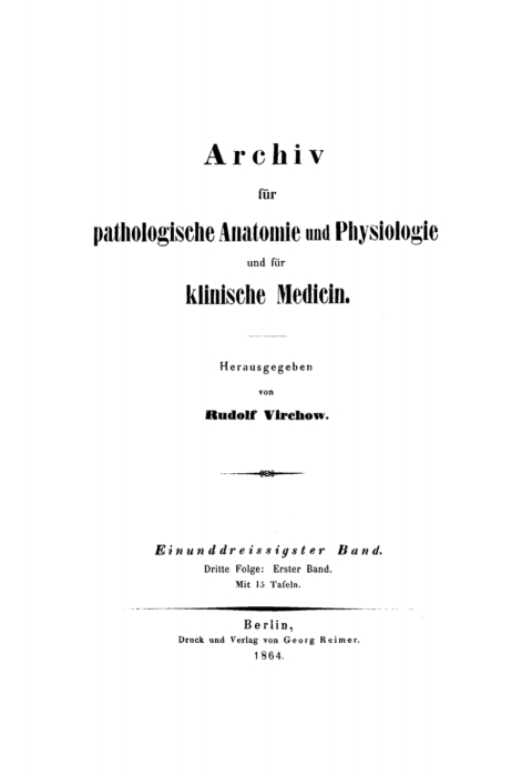 Cover image for book Rudolf Virchow: Archiv für pathologische Anatomie und Physiologie und für klinische Medicin. Band 31
