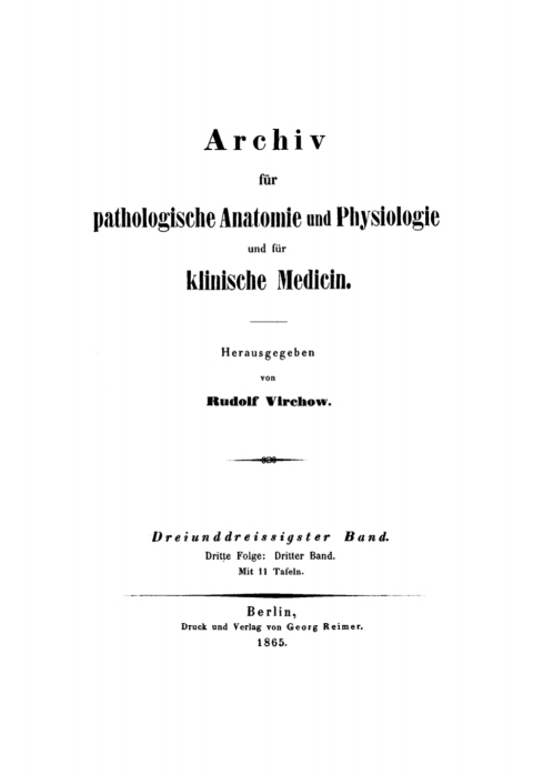 Cover image for book Rudolf Virchow: Archiv für pathologische Anatomie und Physiologie und für klinische Medicin. Band 33