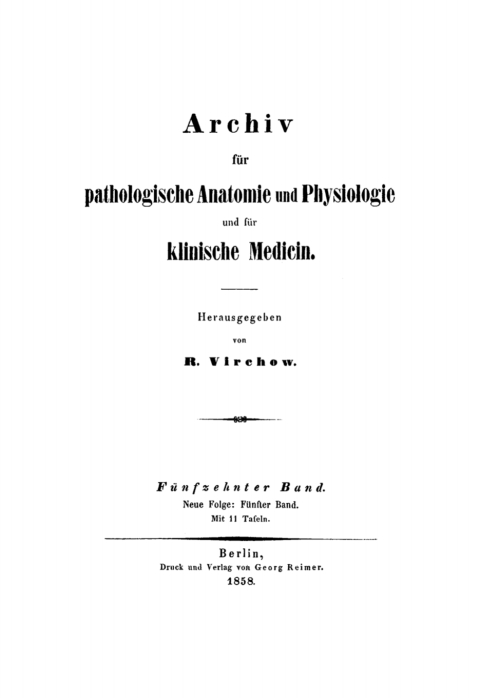 Cover image for book Rudolf Virchow: Archiv für pathologische Anatomie und Physiologie und für klinische Medicin. Band 15