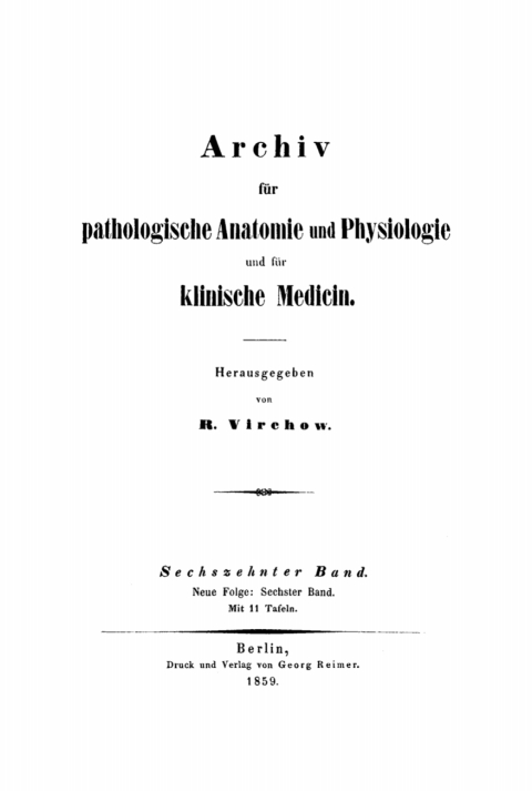 Cover image for book Rudolf Virchow: Archiv für pathologische Anatomie und Physiologie und für klinische Medicin. Band 16