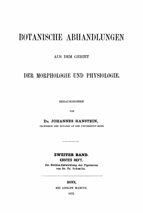 Cover image for book Die Blüthen-Entwicklung der Piperaceen