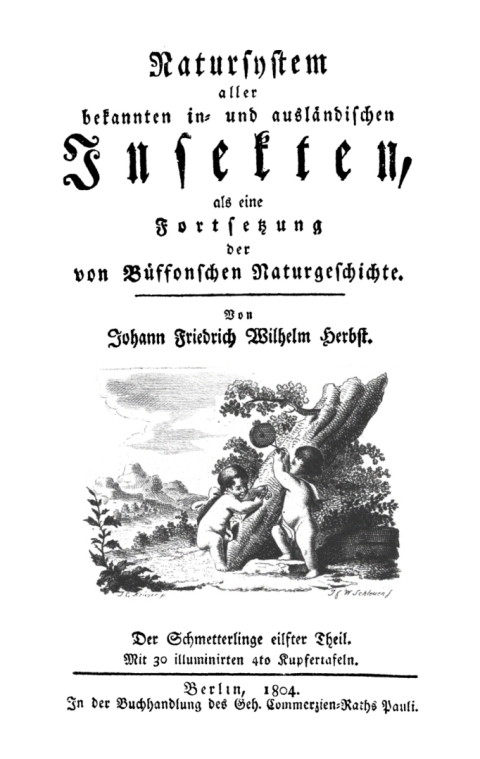 Cover image for book Schmetterlinge, Teil 11
