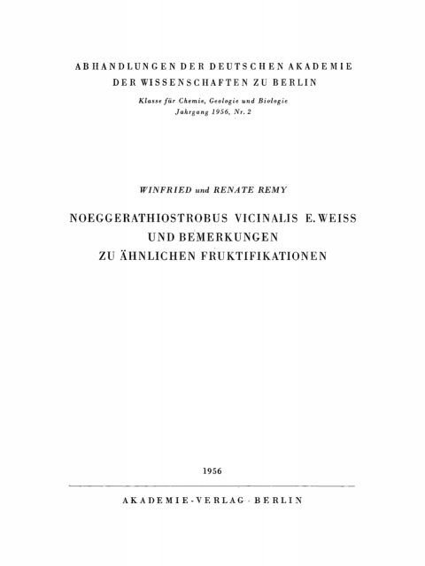 Cover image for book Noeggerathiostrobus Vicinalis E. Weiss und Bemerkungen zu ähnlichen Fruktifikationen