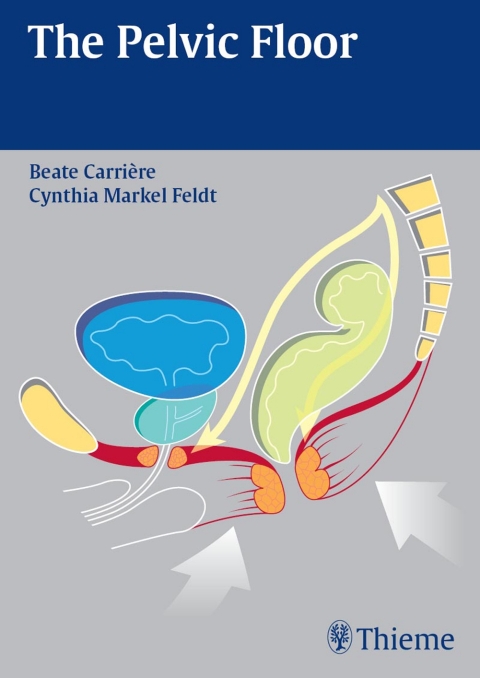 Cover image for book The Pelvic Floor