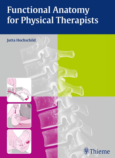 Cover image for book Functional Anatomy for Physical Therapists