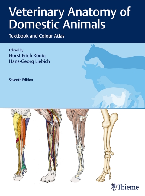 Cover image for book Veterinary Anatomy of Domestic Animals