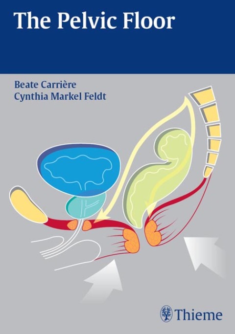 Cover image for book The Pelvic Floor