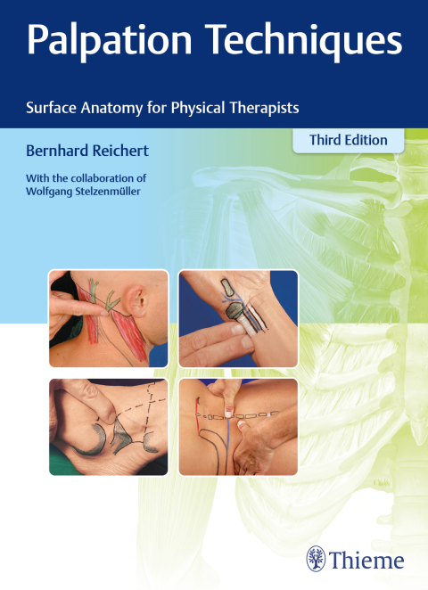 Cover image for book Palpation Techniques
