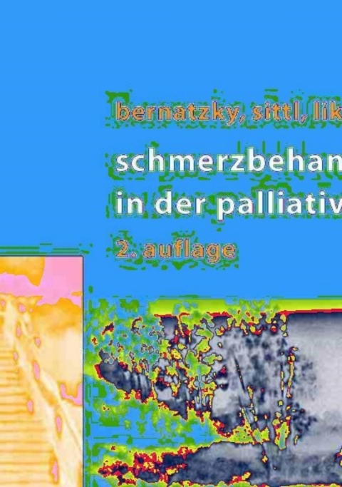 Cover image for book Schmerzbehandlung in der Palliativmedizin