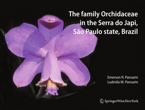 Cover image for book The Family Orchidaceae in the Serra do Japi, São Paulo state, Brazil