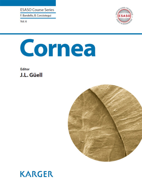 Cover image for book Cornea