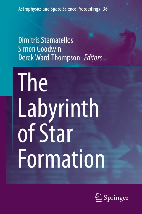 Cover image for book The Labyrinth of Star Formation