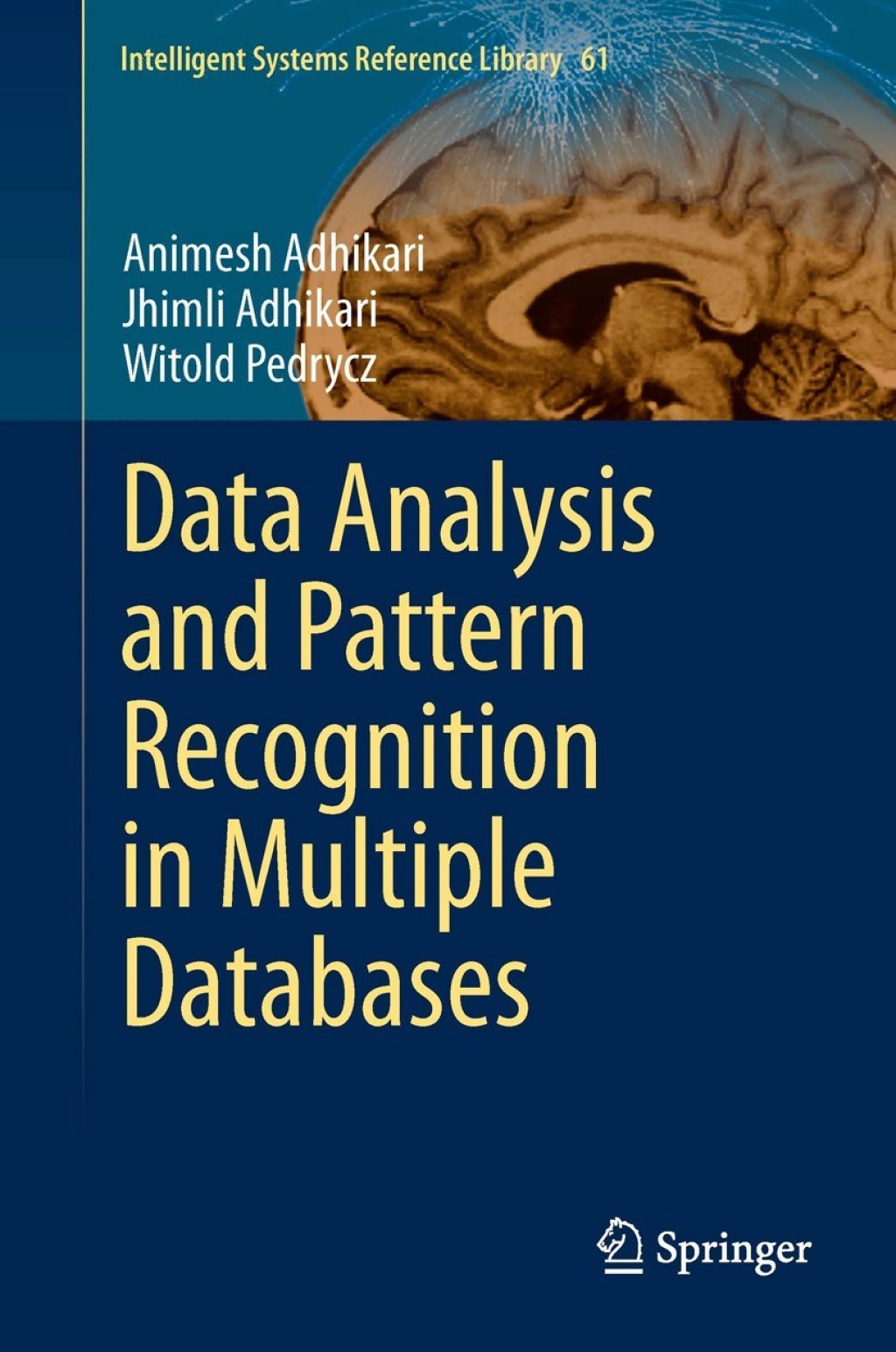 Data Analysis and Pattern Recognition in Multiple Databases (eBook)