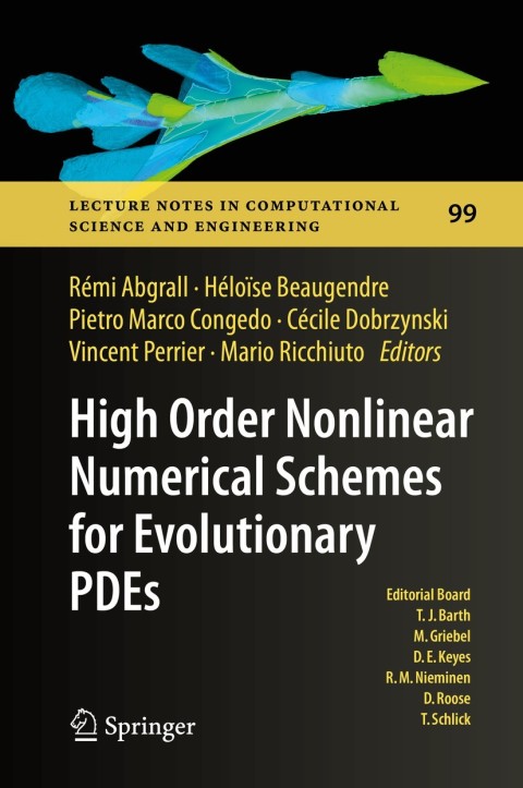 Cover image for book High Order Nonlinear Numerical Schemes for Evolutionary PDEs
