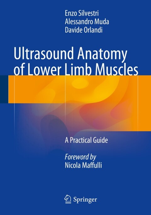 Cover image for book Ultrasound Anatomy of Lower Limb Muscles