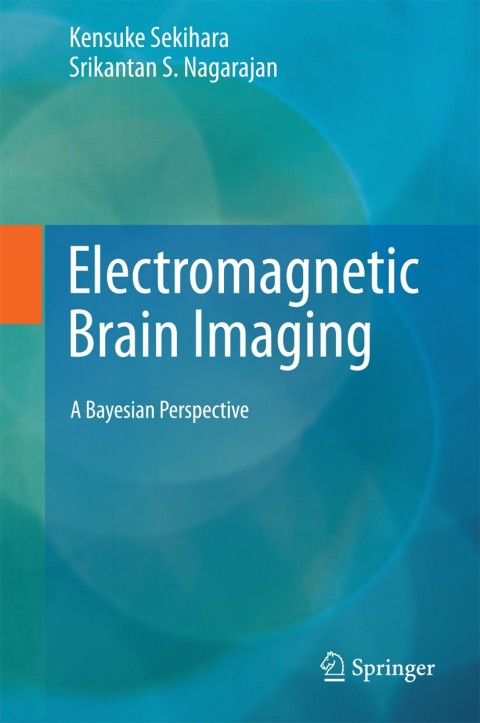 Cover image for book Electromagnetic Brain Imaging