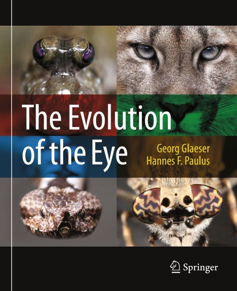 The Evolution of the Eye 