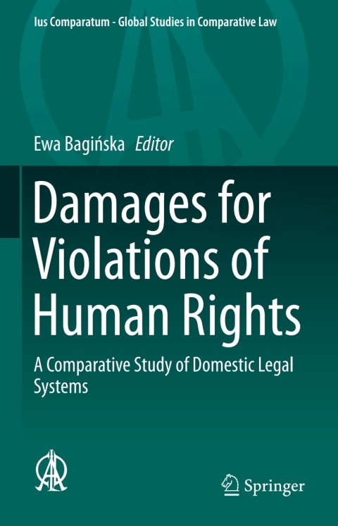 Cover image for book Damages for Violations of Human Rights