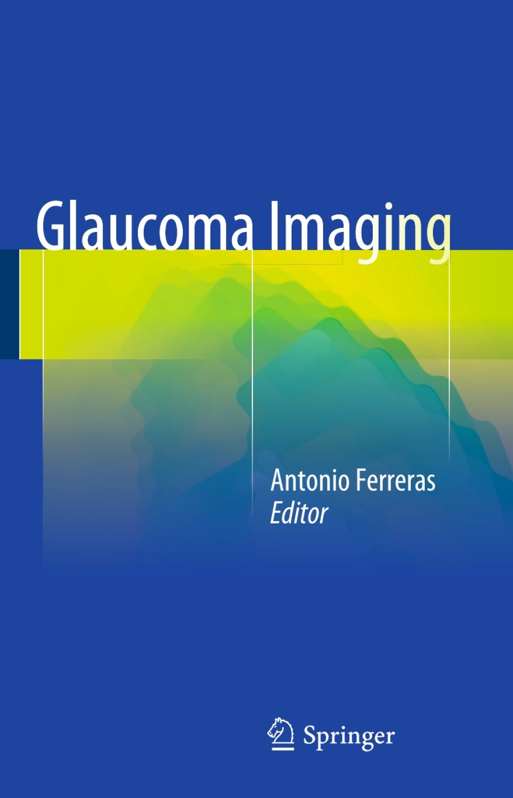 Glaucoma Imaging (eBook)
