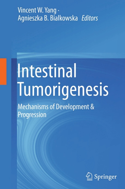Cover image for book Intestinal Tumorigenesis