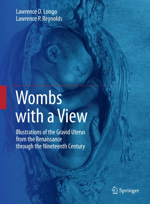 Cover image for book Wombs with a View