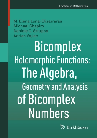 Bicomplex Holomorphic Functions