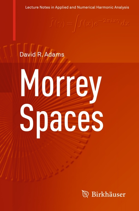 Cover image for book Morrey Spaces
