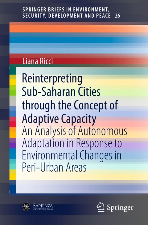 Cover image for book Reinterpreting Sub-Saharan Cities through the Concept of Adaptive Capacity