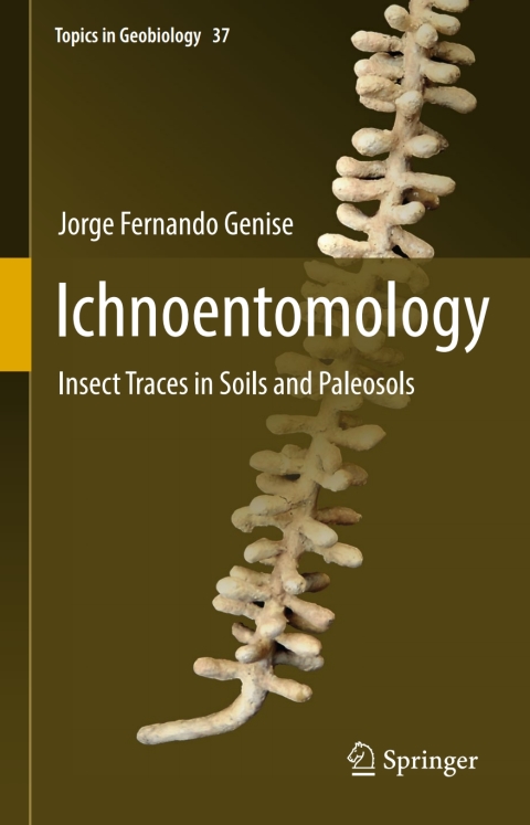 Cover image for book Ichnoentomology