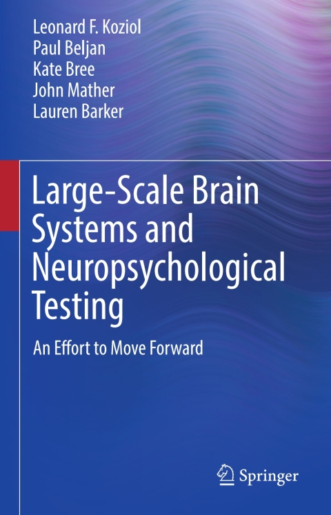 Large-Scale Brain Systems and Neuropsychological Testing 