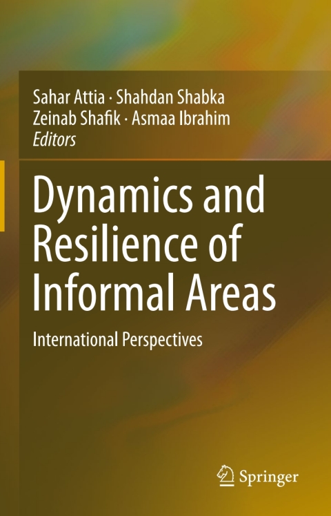 Cover image for book Dynamics and Resilience of Informal Areas