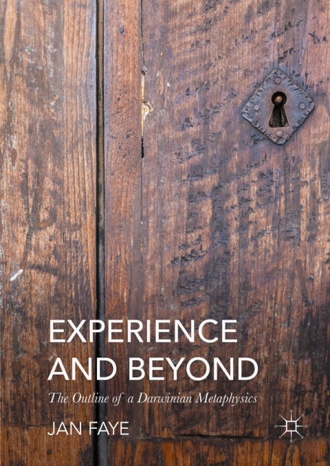 Cover image for book Experience and Beyond