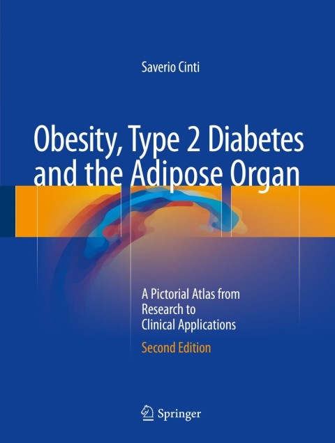 Cover image for book Obesity, Type 2 Diabetes and the Adipose Organ