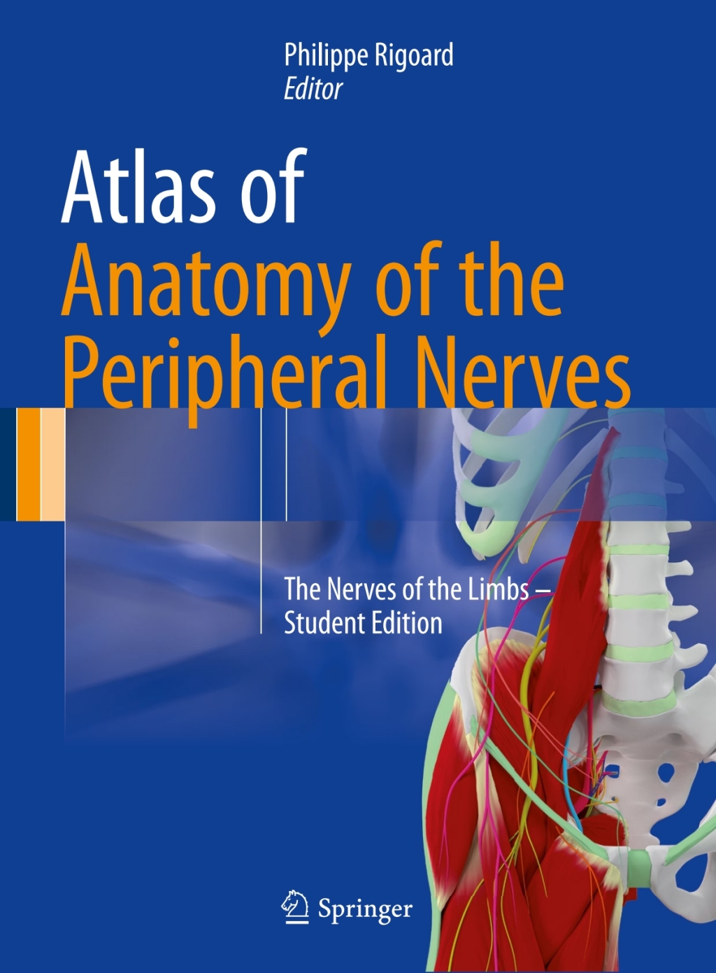 ISBN 9783319430898 product image for Atlas of Anatomy of the Peripheral Nerves (eBook Rental) | upcitemdb.com