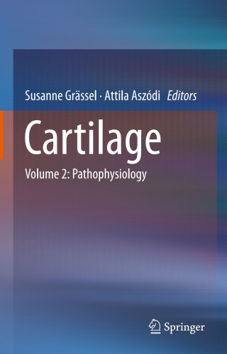 Cartilage