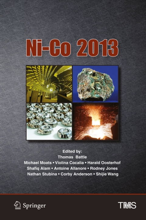 Cover image for book Ni-Co 2013