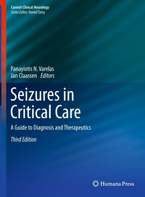 Cover image for book Seizures in Critical Care