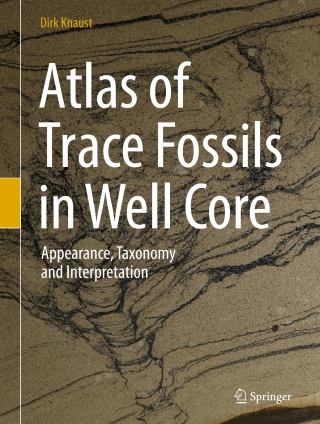 Atlas of Trace Fossils in Well Core