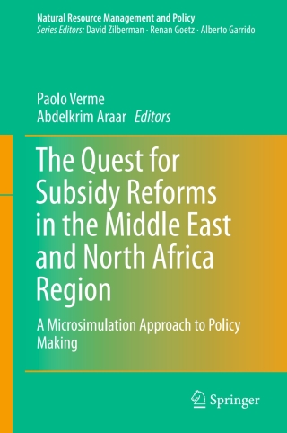 The Quest for Subsidy Reforms in the Middle East and North Africa Region