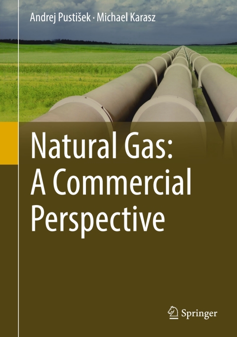 Cover image for book Natural Gas: A Commercial Perspective
