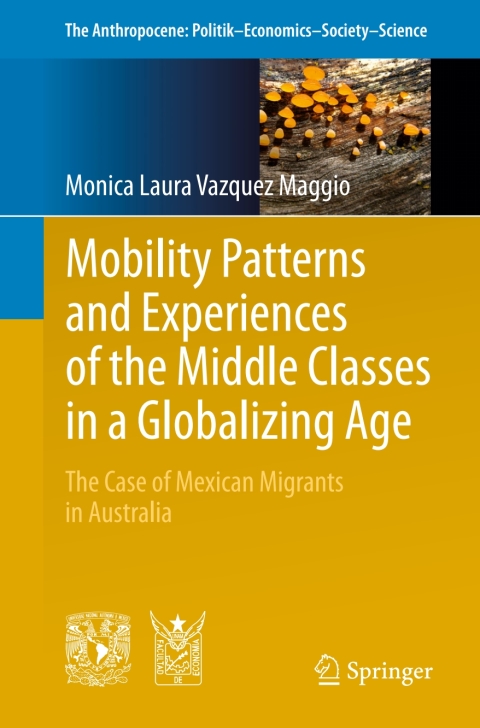 Cover image for book Mobility Patterns and Experiences of the Middle Classes in a Globalizing Age