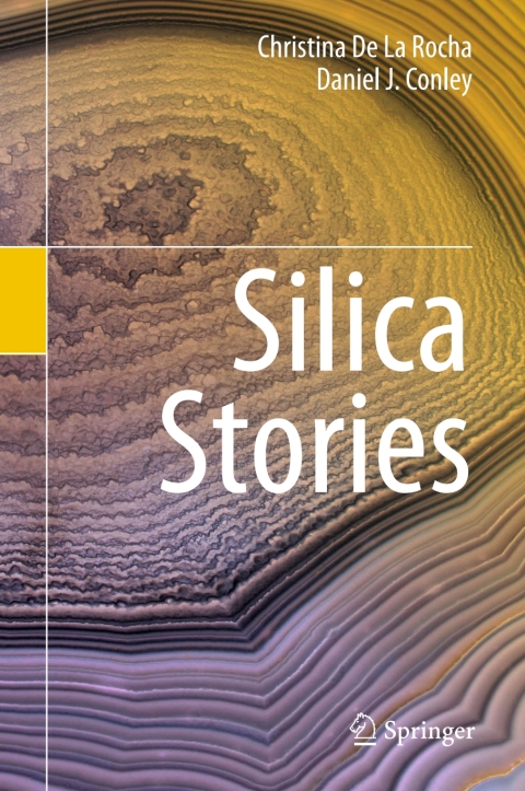 Cover image for book Silica Stories