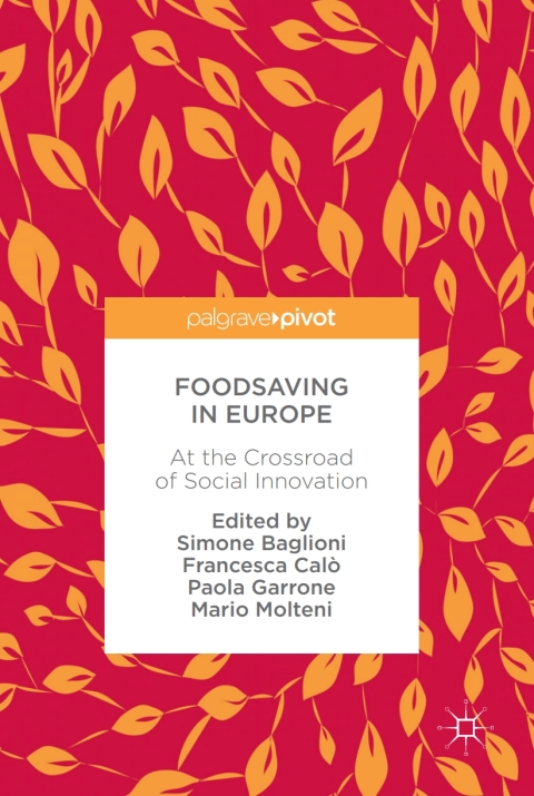 Cover image for book Foodsaving in Europe