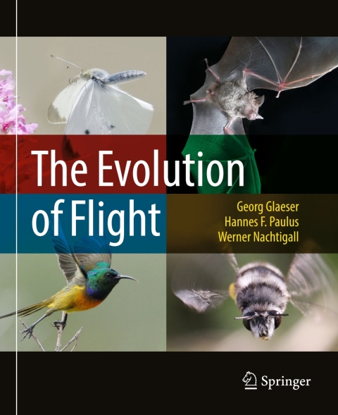 The Evolution of Flight 
