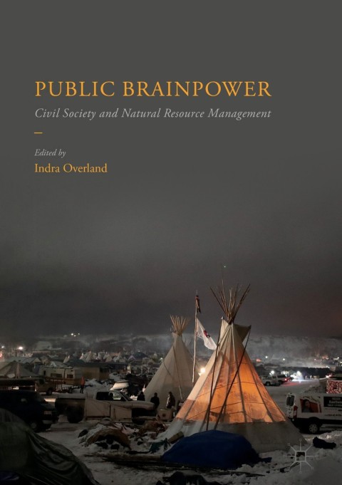 Cover image for book Public Brainpower