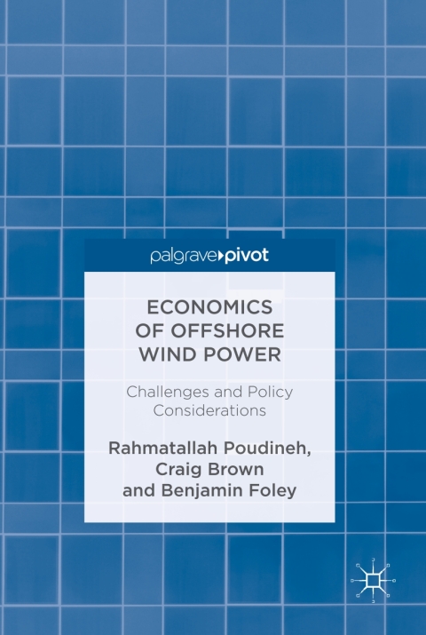 Cover image for book Economics of Offshore Wind Power