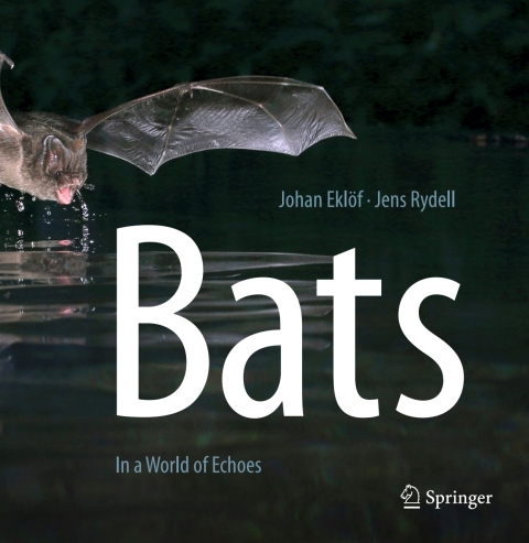 Cover image for book Bats